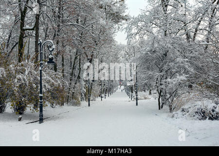 Beau couvert d'hiver matin Ivan Franko Park dans le centre-ville de Lviv, Ukraine. Les gens méconnaissable. Banque D'Images