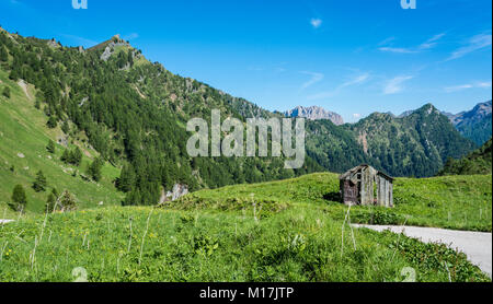 Paysage de montagne en été et le sombre ciel bleu en Trentino Alto Adige. Vue depuis le Passo Rolle, Dolomites italiennes, Trento, Italie. Banque D'Images