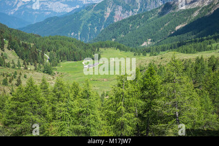 Paysage de montagne en été dans le Trentin-Haut-Adige. Vue depuis le Passo Rolle, Dolomites italiennes, Trento, Italie. Banque D'Images