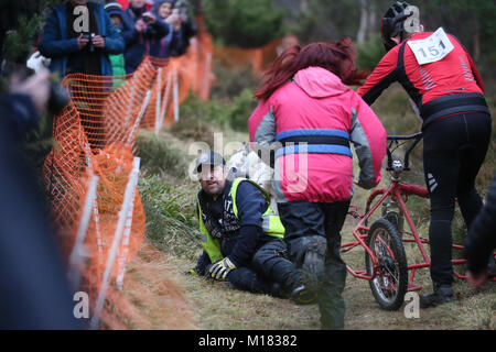 Aviemore, Scotland. 28 janvier 2018. Une race marshal se trouve sur le sol après avoir sauté dans le chemin de l'équipe de chiens qui avaient ensemble de sans leur musher le deuxième jour de la 35e assemblée annuelle Aviemore Sled Dog rally.La neige a été emportée par une forte pluie automne pour les équipes utilisent des roues ce qui rend la tâche plus difficile pour les chiens,Aviemore, Écosse, 28 janvier 2018 Crédit : Barbara Cook/Alamy Live News Banque D'Images