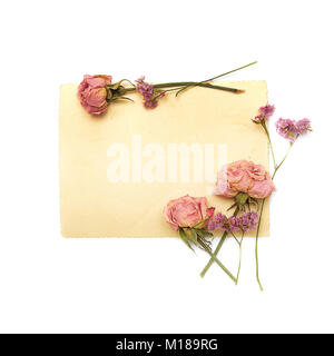 Vintage papier, les roses roses douces et pastel fleurs violettes sur fond blanc Banque D'Images