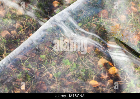 Film polyéthylène de brouillard se trouve sur terrain naturel avec l'herbe et les feuilles, l'effet de serre illustration Banque D'Images