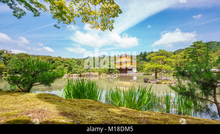 Le JAPON, KYOTO- 7 juin 2015 : Temple Kinkakuji (Pavillon d'or) derrière les arbres, la célèbre temple bouddhiste Zen à Kyoto, Japon Banque D'Images