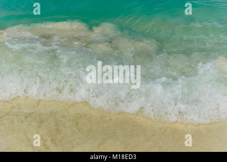 Vagues sur la rive idyllique de l'Eagle Beach, Aruba Banque D'Images