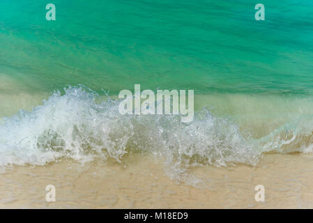 Vagues sur la rive idyllique de l'Eagle Beach, Aruba Banque D'Images