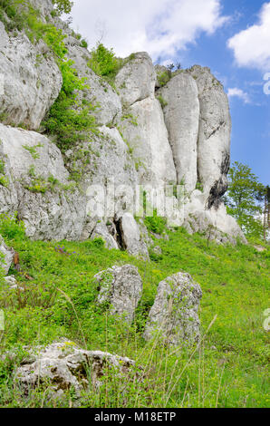 La nature réserve Mount Zborow / Berkowa. Jurassique polonais Highland, Lesser Poland voivodeship, Europe Banque D'Images