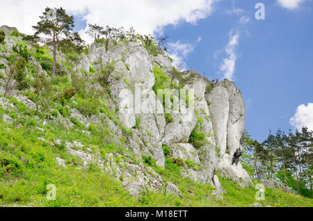 La nature réserve Mount Zborow / Berkowa. Jurassique polonais Highland, Lesser Poland voivodeship, Europe Banque D'Images