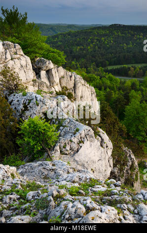 La nature réserve Mount Zborow / Berkowa. Jurassique polonais Highland, Lesser Poland voivodeship, Europe Banque D'Images