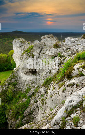 La nature réserve Mount Zborow / Berkowa. Jurassique polonais Highland, Lesser Poland voivodeship, Europe Banque D'Images