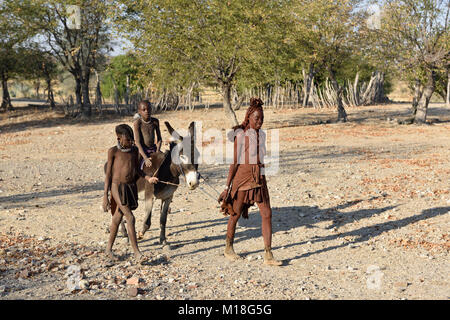 Enfants mariés Himbafrau,ride sur donkey,Kaokoveld,Namibie Banque D'Images