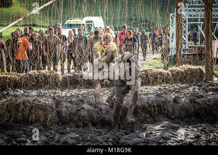 Tough Mudder London South West Hampshire, parcours du combattant, 2015 Banque D'Images