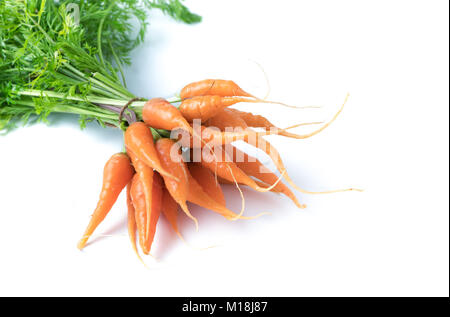 Carottes biologiques frais avec des feuilles vertes isolé sur fond blanc. Les légumes. L'alimentation saine Banque D'Images