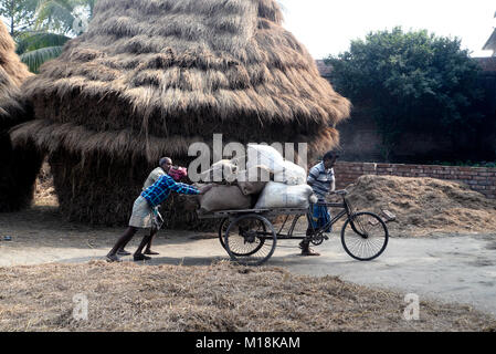 Kolkata, Inde. 27 Jan, 2018. Les agriculteurs transportent à l'usine de riz paddy après battage. Paddy battage agriculteur à un village de South 24 Parganas en avance sur le budget de l'Union européenne. Indian Budget de l'exercice 2018-2019 prévu le 01 février. Credit : Saikat Paul/Pacific Press/Alamy Live News Banque D'Images