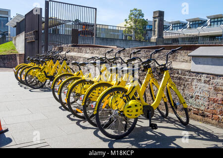 Location de smart Public-vélos / vélos vélo Ofo de l'opérateur à rues de Sydney, NSW, Australie. Banque D'Images