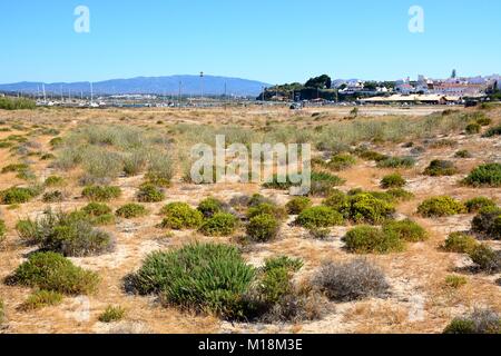 Vue sur la réserve naturelle vers le port et la ville, Alvor, Algarve, Portugal, Europe. Banque D'Images