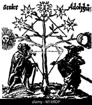 La Mystique & magique,l'Alchimie - Alchemy - une cité médiévale allemande du 17ème siècle illustration alchimique - philosophes Senior & Adolphus de triangles, un arbre de vie et cachets des planètes et les produits chimiques (sel, soufre, mercure, soleil, Mars, Vénus, Mercure, Saturne, Jupiter ou la lune). Banque D'Images