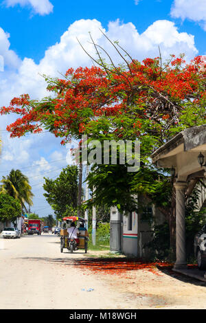 Vélo taxi à trois roues sur village-rue en sisal Yucatan Mexique.jpg Banque D'Images