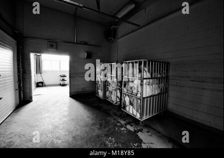 C'est l'une des nombreuses photos que j'ai prises à l'intérieur, après le Sudbury St. Joseph's Health Centre (l'ancien hôpital général) a fermé ses portes Banque D'Images