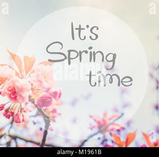 Cerisier fleur de printemps sur fond de ciel bleu C'est le printemps avec le temps paroles Banque D'Images