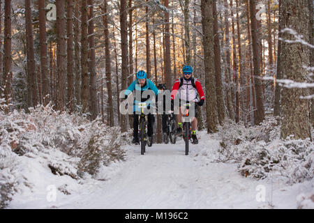 Avenant à la Strathpuffer 24 heures de vélo de montagne dans la région de Strathpeffer dans les Highlands écossais. Banque D'Images