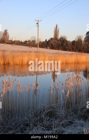 Un matin glacial dans Amberley Sussex de l'Ouest Banque D'Images