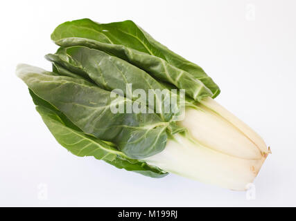 Beta vulgaris. Chard plante sur un fond blanc. Banque D'Images