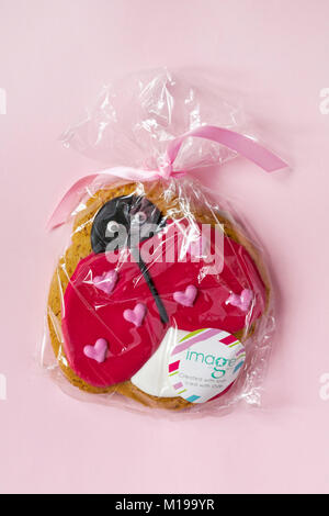 Enveloppé d'épices biscuit glacé Love Bug par droit à l'alimentation créé avec amour et avec style isolé sur fond rose - idéal pour la Saint-Valentin Banque D'Images
