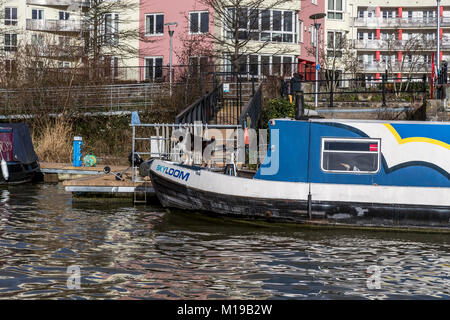 Chien sur un bateau étroit, Bristol, Royaume-Uni. Banque D'Images