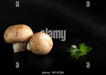 Close up de deux champignons bruns sur une dalle d'ardoise Banque D'Images