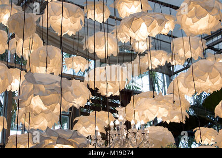 De nombreuses lampes suspendues au plafond de la serre. Des lustres décoratifs en forme de fleurs à l'intérieur des feux dans le jardin Chambre. Banque D'Images