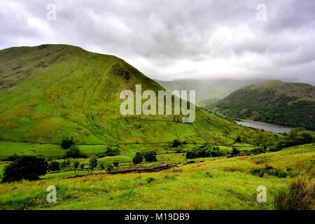 Vert pâturage d'Hartsop Dodd Banque D'Images