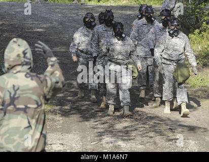 JOINT BASE ELMENDORF-RICHARDSON, Alaska -- Les soldats de la Garde nationale de Californie 95e équipe de soutien civil (armes de destruction massive) et la 95e compagnie de produits chimiques, ingénieur 2d Brigade, mener des opérations conjointes à l'Arctique, nucléaire, biologique et chimique sur le site JBER-Richardson 17 Juillet. Comme le propre de l'Alaska 103e CST (ADM), l'équipe de Californie est composé de l'armée et de la Garde nationale, formés à l'identification des matières dangereuses et NBC, l'évaluation, et d'échantillonnage. Leur principale mission est de fournir des premiers intervenants en soutien aux autorités civiles en matière de NBC, et d'autres matières dangereuses, Banque D'Images