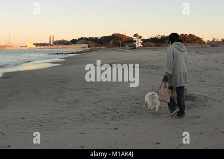 (4 novembre 2015 , Soma, Fukushima, Japon) citoyen local de prendre une marche avec l'animal à Matsukawaura beach, Soma, ville du Japon. La plage a été fermée à la baignade en raison de la sous construction et processus de décontamination pour 6 ans depuis 2011 tremblement de terre, tsunami et ses conséquences. Cependant la population locale peut encore y bénéficier pour la marche ou prendre du repos. Soma ville prévoit terminer le processus de reconstruction et de décontamination afin de rouvrir la plage pour les touristes à partir de 2018. Banque D'Images