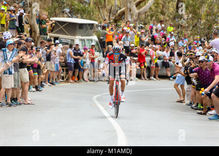 ADELAIDE, AUSTRALIE - 20 janvier : Richie Porte # 1 (AUS) de BMC RACING TEAM (États-Unis) d'attaquer le roi de la montagne sur la colline d'Alan Jaume & Fils Banque D'Images