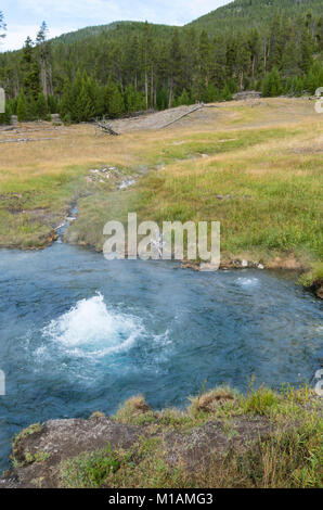 Bulles d'eau chaude jusqu'à l'une des piscines à fonction thermique ressorts Terrasse. Le Parc National de Yellowstone, Wyoming. Banque D'Images