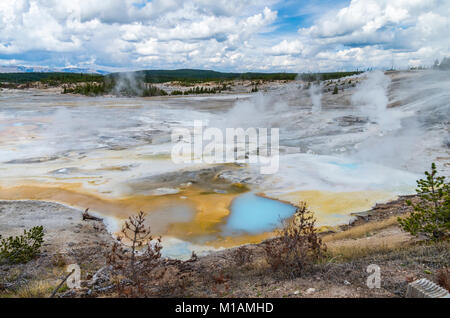 La piscine bleu laiteux de la Porcelaine Springs dans le Norris Geyser Basin. Le Parc National de Yellowstone, Wyoming, USA Banque D'Images