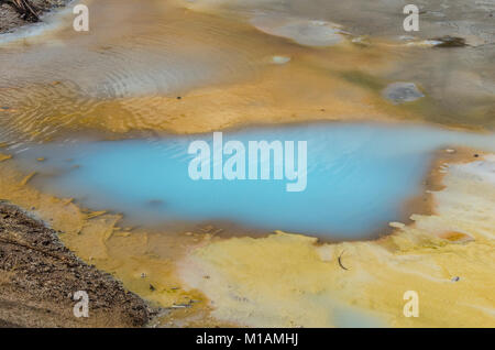 La piscine bleu laiteux de la Porcelaine Springs dans le Norris Geyser Basin. Le Parc National de Yellowstone, Wyoming, USA Banque D'Images