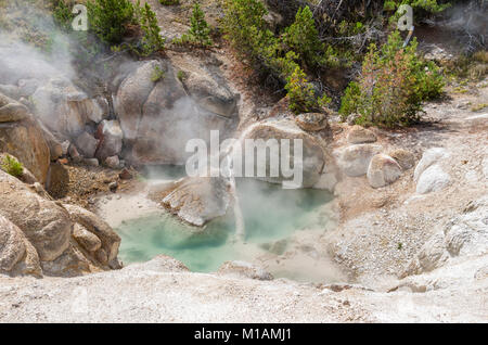 Hot Spring dans le Norris Geyser Basin. Le Parc National de Yellowstone, Wyoming, USA Banque D'Images