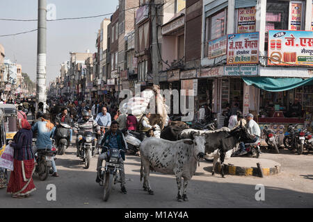 Scène de rue chaotique typique, Bikaner, Rajasthan, India Banque D'Images