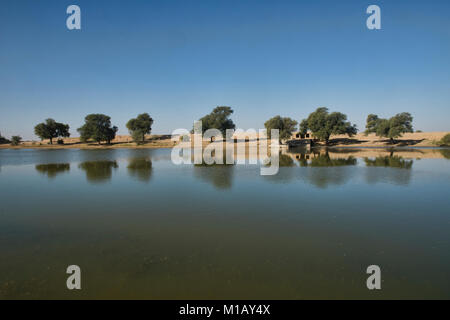 Oasis dans le désert de Thar, Rajasthan, Inde Banque D'Images