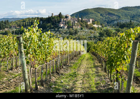 Vignoble toscan. Toscane Italie Banque D'Images