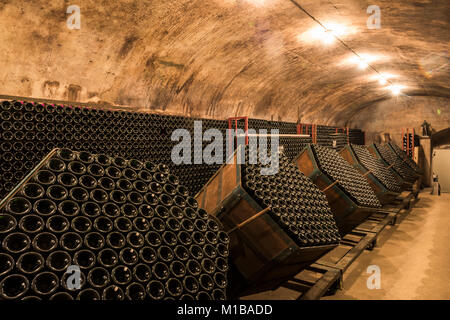 Hautvillers, France - le 11 août 2017 Champagne : grottes et caves avec des bouteilles de champagne en gyropalettes de remuage à Hautvillers près de Reims et Ep Banque D'Images