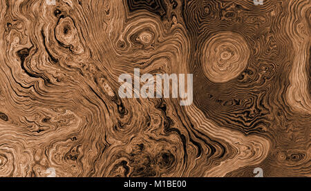 La texture des racines de l'arbre avec des lignes ondulées et anneaux d'âge. Résumé fond. Banque D'Images