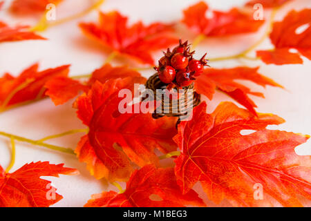 Automne fond rouge avec des feuilles artificielles et l'aubépine en petit vase sur fond blanc Banque D'Images