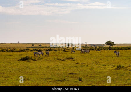 Vue sur la savane du Masai Mara au Kenya Parc Banque D'Images