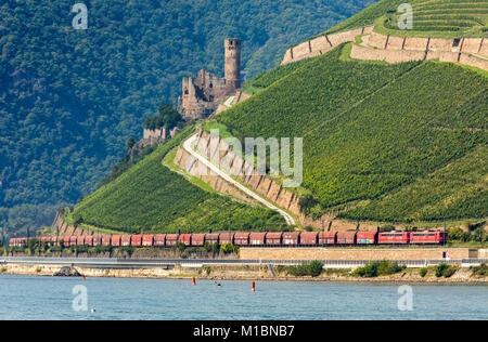 Train de fret sur la rive droite du Rhin dans le patrimoine mondial de l'Unesco dans la vallée du Haut-Rhin moyen, ruines du château d'Ehrenfels, vignobles près de RŸd Banque D'Images