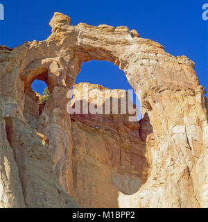 Grosvenor arch près de cannonville, Utah Banque D'Images