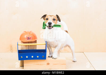 Faire vous-même (DIY) concept avec funny dog comme assistant de constructeurs Banque D'Images