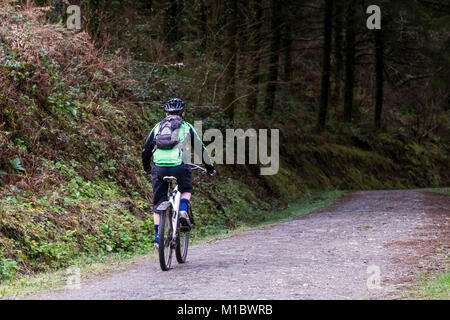 Un vélo de montagne équitation le long d'un sentier à Cardinham Woods Bodmin Cornwall. Banque D'Images