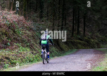 Un vélo de montagne équitation le long d'un sentier à Cardinham Woods Bodmin Cornwall. Banque D'Images